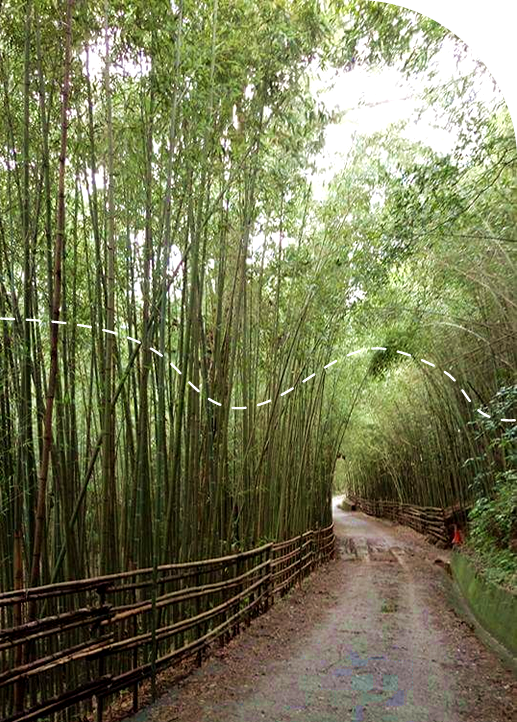 鷹的故鄉露營區-露營,落雨松露營區,苗栗露營,苗栗露營區